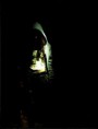 /album/a17/a001-4-jpg1/